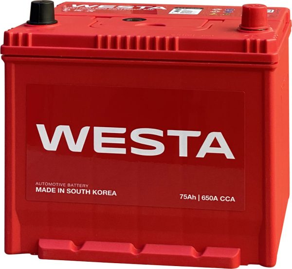 WESTA ASIA 75.0 95D23L