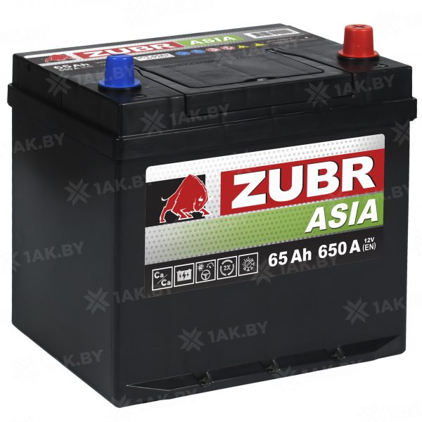 ZUBR Premium Asia 65.0