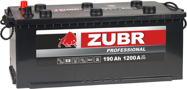 ZUBR Professional 190.4