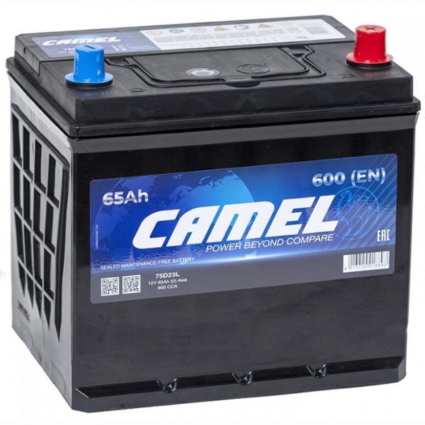 CAMEL ASIA 65 оп 600а