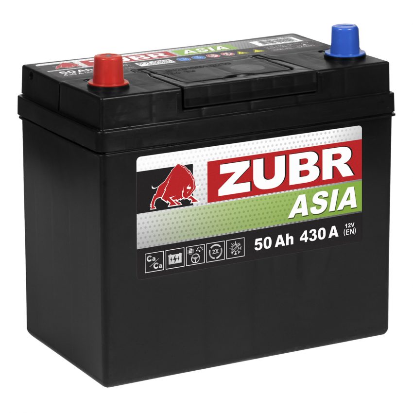ZUBR PREMIUM ASIA 50.1 пп