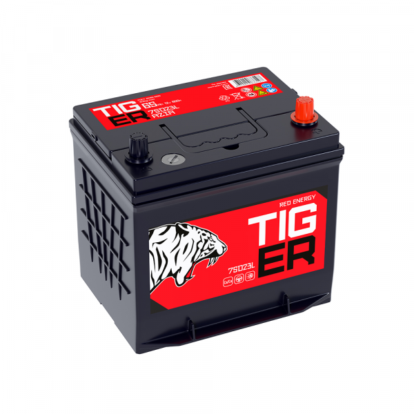 TIGER ASIA 65.0 оп