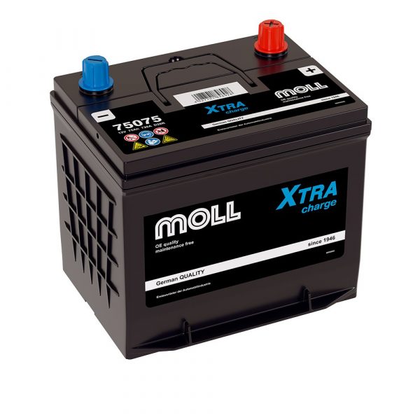 MOLL Xtra Asia 75 пп
