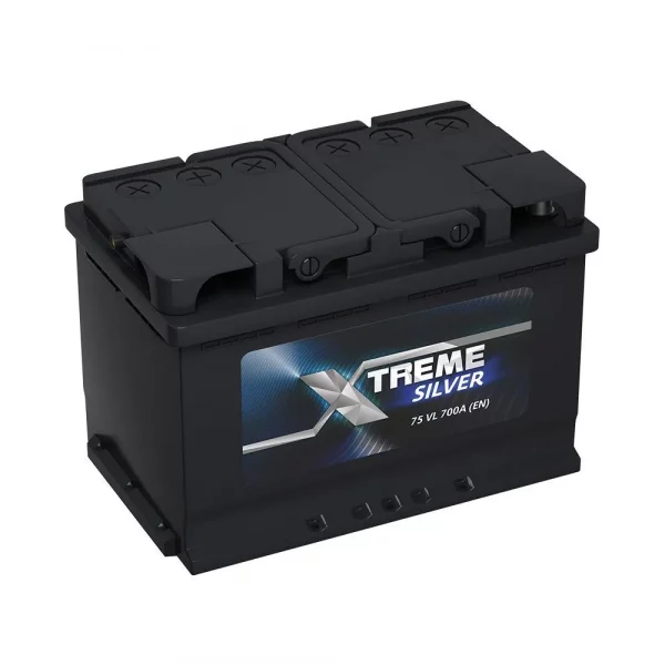 XTREME SILVER 75 оп низкий